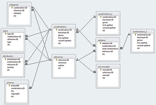 Simplified HymIS database model